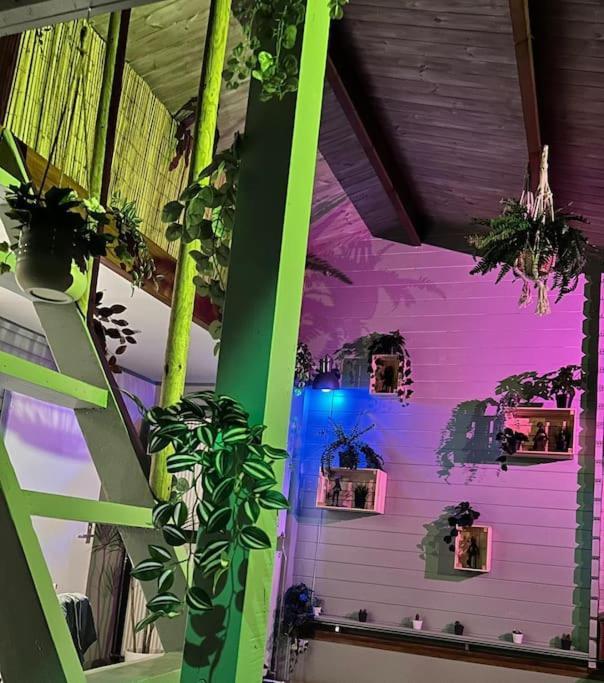 Jungle Style Lodge With Jacuzzi ,Sauna And Garden Near Amsterdam Vijfhuizen Exteriör bild